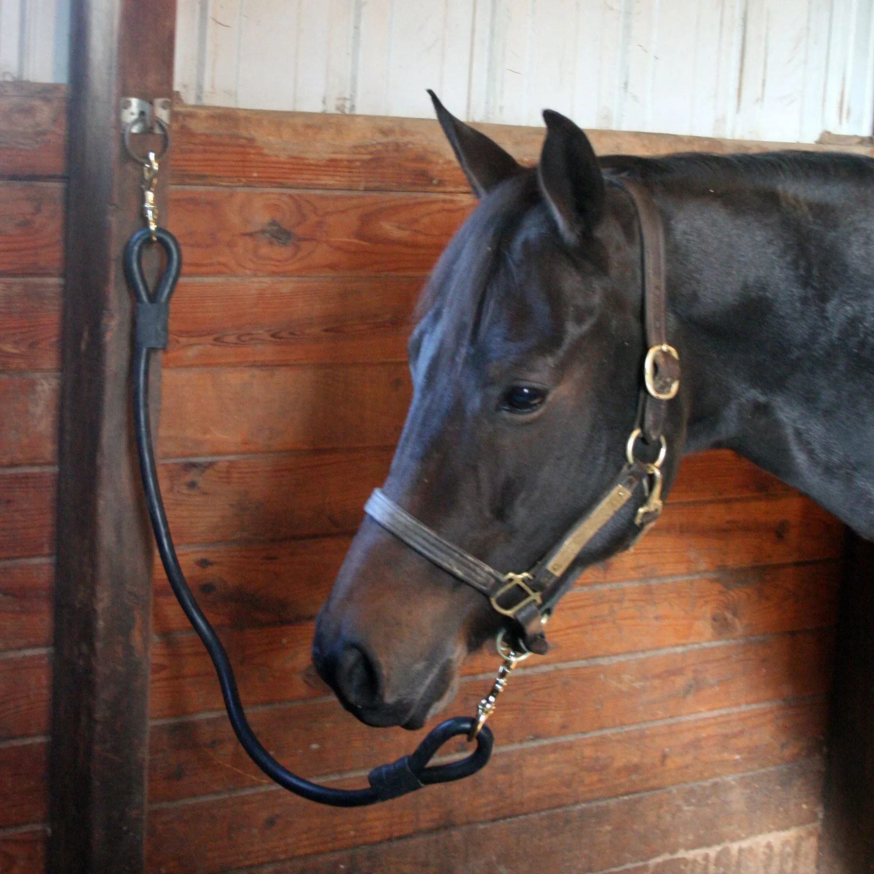 Dura-Tech® Extra Heavy Rubber Horse Tie 4 Dura-Tech® Extra Heavy Rubber Horse Tie - Image 2