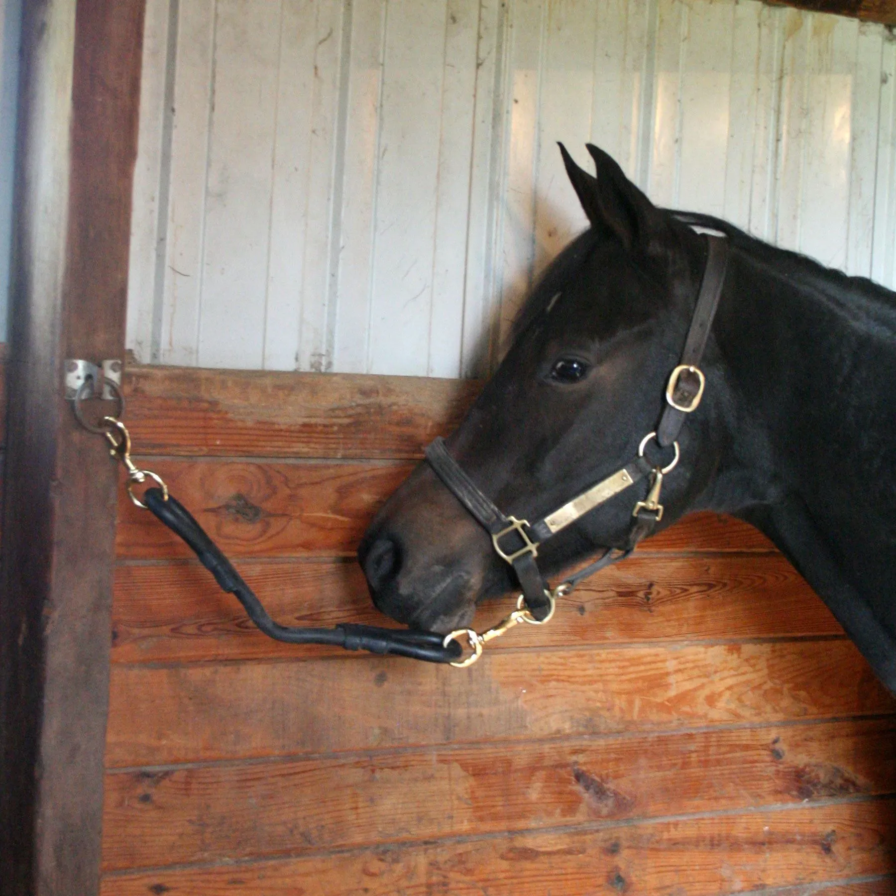 Dura-Tech® Extra Heavy Rubber Horse Tie 6 Dura-Tech® Extra Heavy Rubber Horse Tie - Image 4