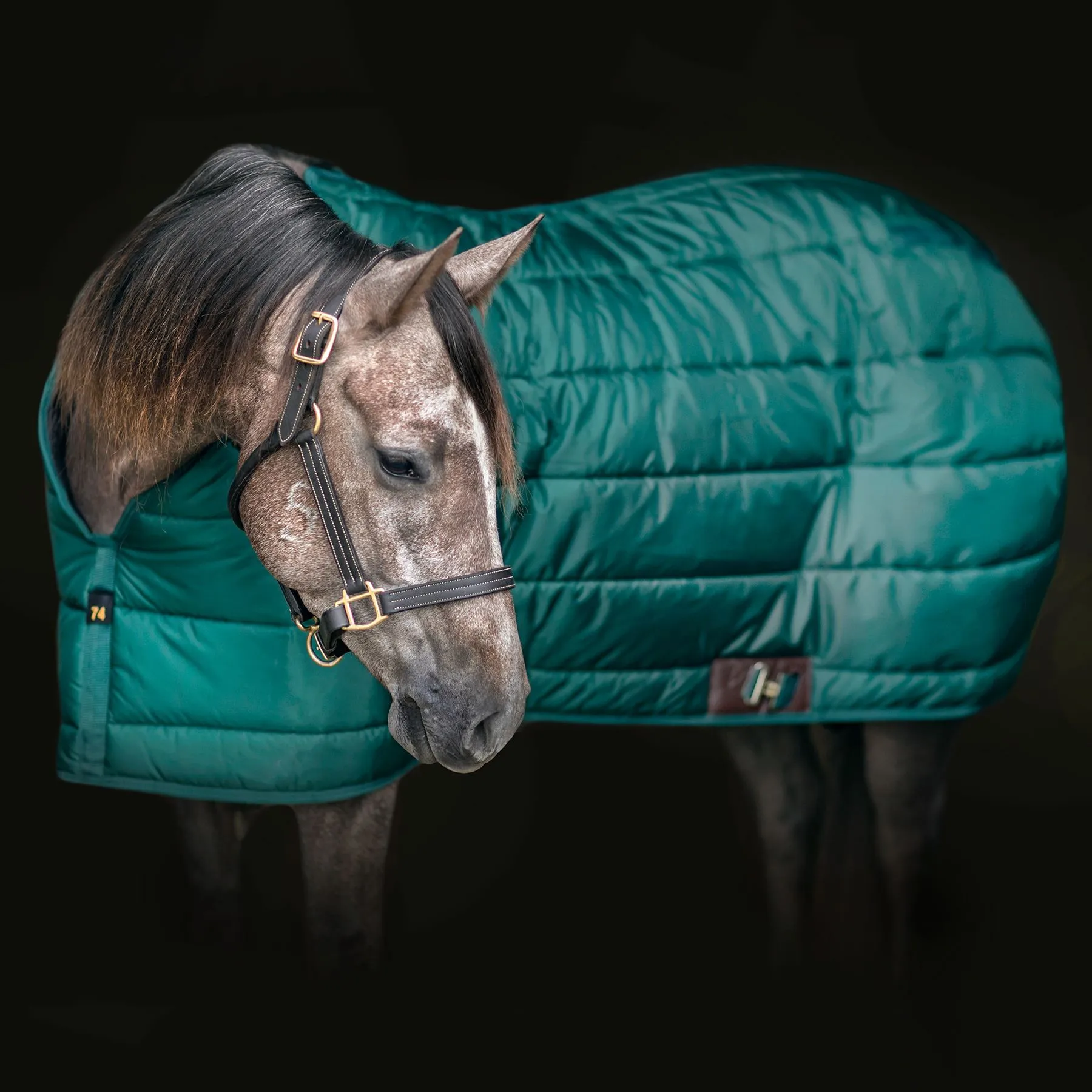 Adjusta-Fit Dura-Nylon Cutback Zenith Leg Strap Horse Stable Blanket - Heavyweight 18 Adjusta-Fit Dura-Nylon Cutback Zenith Leg Strap Horse Stable Blanket - Heavyweight - Image 16