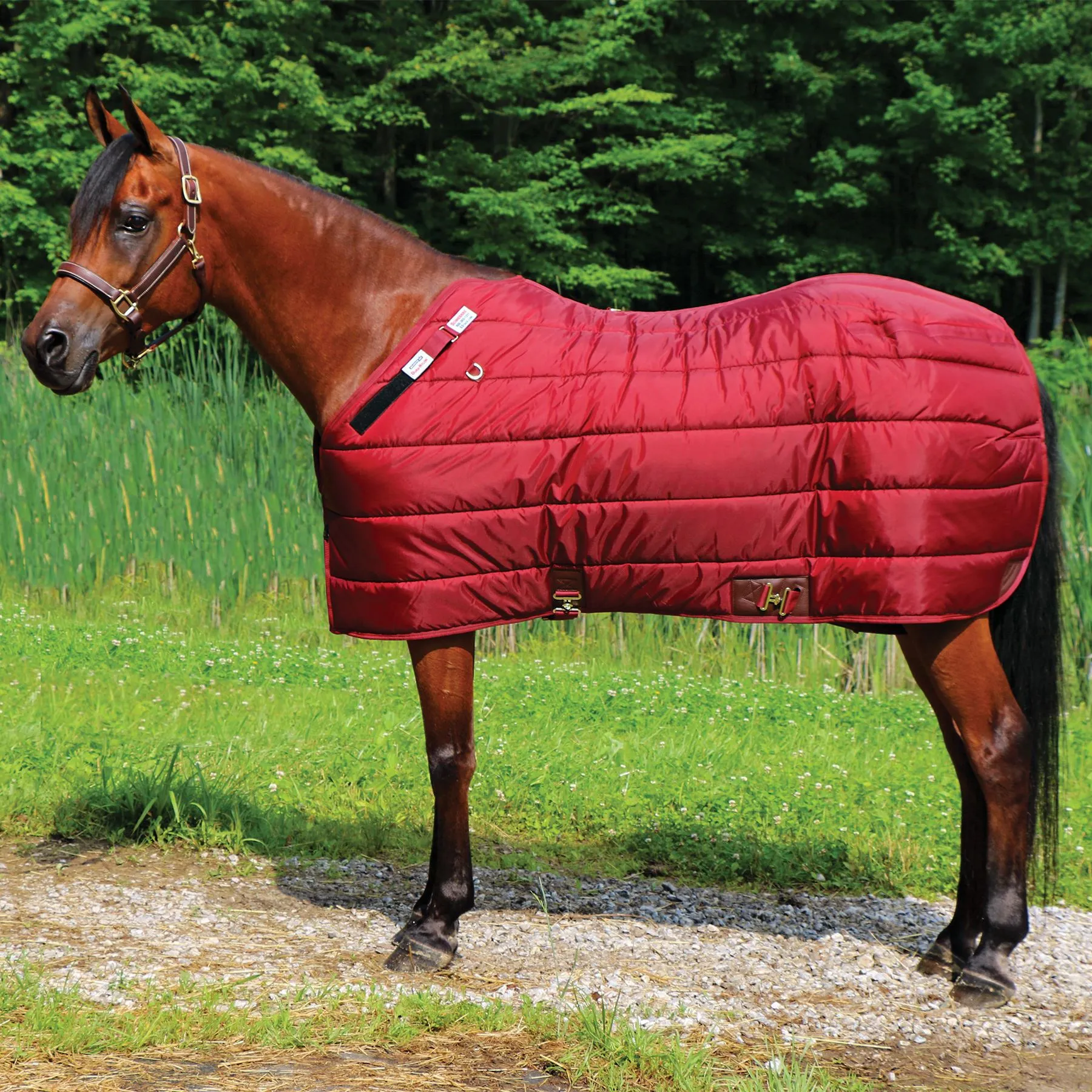 Adjusta-Fit Dura-Nylon Cutback Zenith Leg Strap Horse Stable Blanket - Heavyweight 19 Adjusta-Fit Dura-Nylon Cutback Zenith Leg Strap Horse Stable Blanket - Heavyweight - Image 17