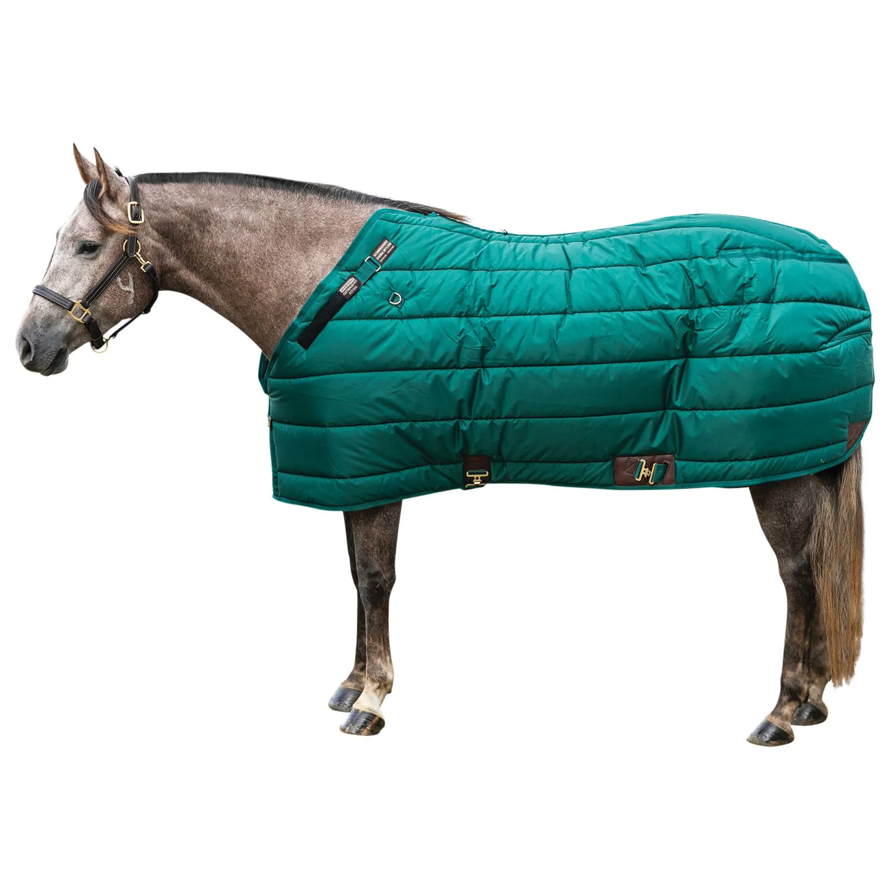 Adjusta-Fit Dura-Nylon Cutback Zenith Leg Strap Horse Stable Blanket - Heavyweight 11 Adjusta-Fit Dura-Nylon Cutback Zenith Leg Strap Horse Stable Blanket - Heavyweight - Image 9