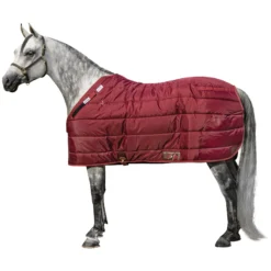 Adjusta-Fit Dura-Nylon Cutback Westcoast Leg Strap Horse Stable Blanket - Medium Weight -Schneiders Shop 10485 burgundy
