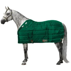 Adjusta-Fit Dura-Nylon Cutback Westcoast Leg Strap Horse Stable Blanket - Medium Weight -Schneiders Shop 10485 green