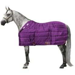 Adjusta-Fit Dura-Nylon Cutback Westcoast Leg Strap Horse Stable Blanket - Medium Weight -Schneiders Shop 10485 purple