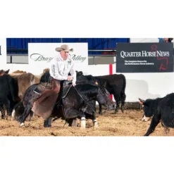 Adjusta-Fit Dura-Nylon V-Free Guardian Bellyband Horse Stable Blanket - Midweight -Schneiders Shop 13157 prof b