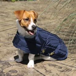 Dura-Tech® Channel Quilted Dog Coat -Schneiders Shop 13257c navy