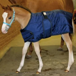 Dura-Nylon® Expandable Lightweight Foal Stable Blanket -Schneiders Shop 13272c navy