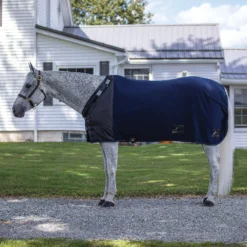 Schneiders Shop -Schneiders Shop 14604 alt a