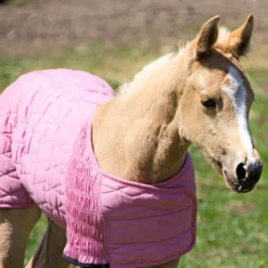 UltraFlex® Foal Saver® Lightweight Blanket -Schneiders Shop 16012c alt b