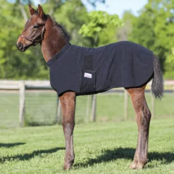 Dura-Tech Fleece Foal Warmer 9 Dura-Tech Fleece Foal Warmer -Schneiders Shop 16437 black