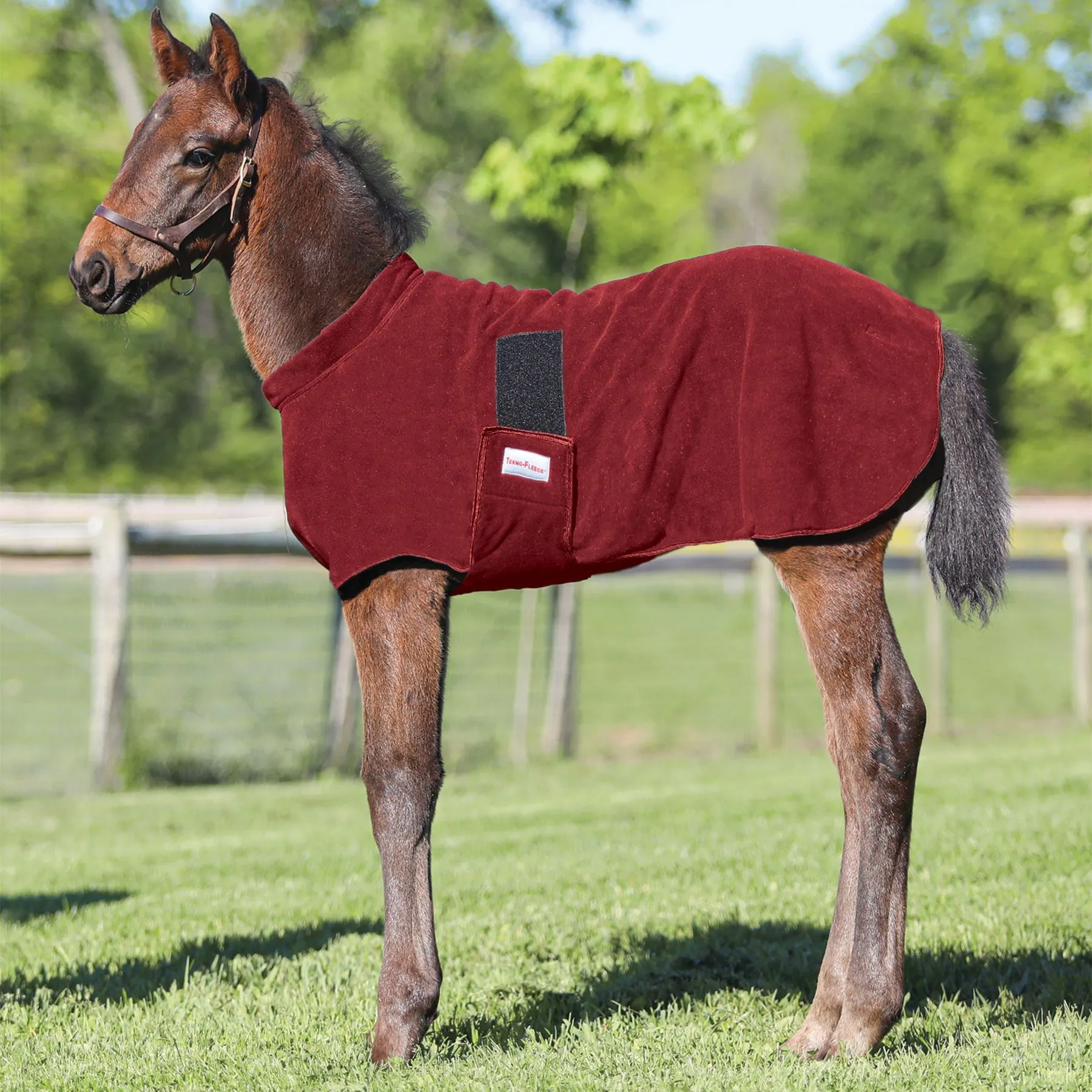 Dura-Tech Fleece Foal Warmer 6 Dura-Tech Fleece Foal Warmer - Image 4