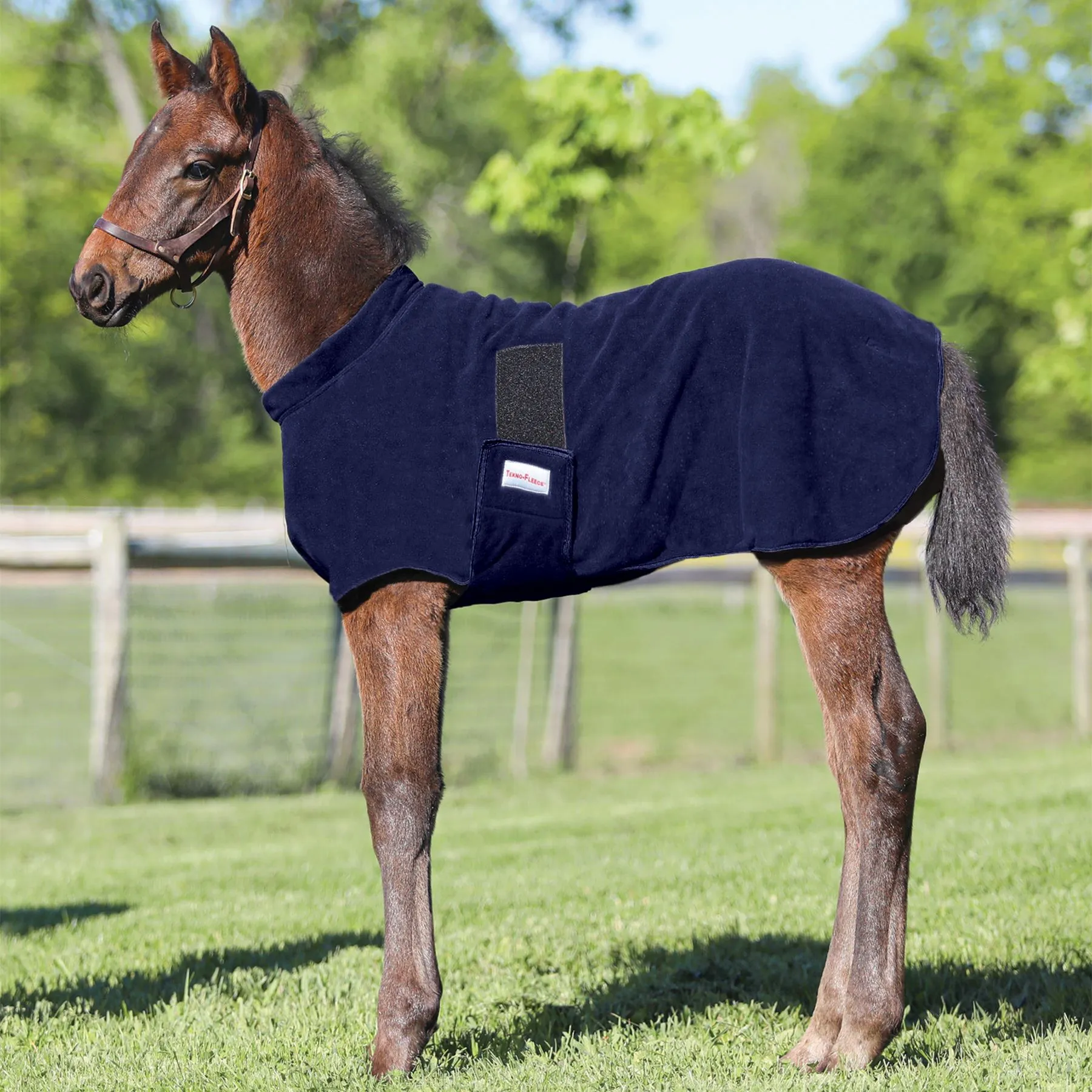 Dura-Tech Fleece Foal Warmer 7 Dura-Tech Fleece Foal Warmer - Image 5