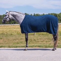 Schneiders Shop -Schneiders Shop 31047 alt a