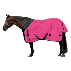 StormShield® II Turnout Blankets -Schneiders Shop 31956 pink