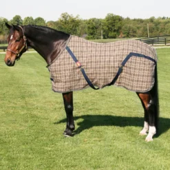 5/A Baker Original Stable Sheet