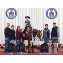 Adjusta-Fit Tekno-Quilt V-Free Bellyband Horse Stable Blanket - Heavyweight -Schneiders Shop 35317 prof a