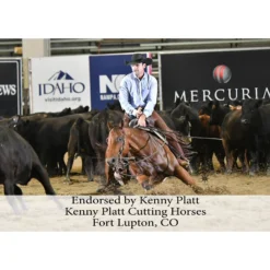 Adjusta-Fit Tekno-Quilt V-Free Leg Strap Horse Stable Blanket - Heavyweight -Schneiders Shop 35318 prof b overlay