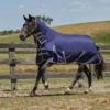 Weatherbeeta® ComFiTec® Essential Combo Neck Medium Weight Turnout Blanket -Schneiders Shop 38869
