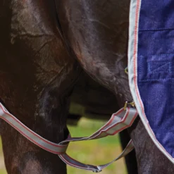 Weatherbeeta® ComFiTec® Essential Combo Neck Medium Weight Turnout Blanket -Schneiders Shop 38869 alt h