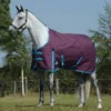 WeatherBeeta® ComFiTec® Essential Standard Neck Medium Weight Turnout Blanket -Schneiders Shop 38873