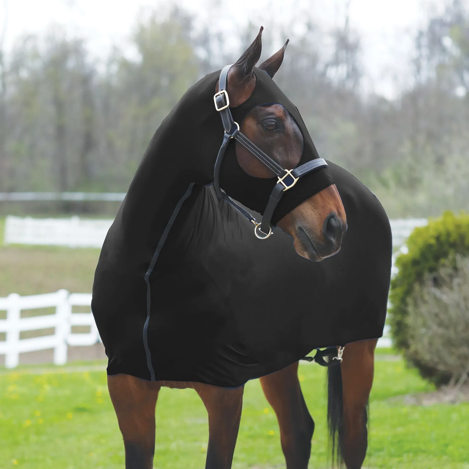 Sleazy Sleepwear™ Solid Full Body Slicker With Zipper 5 Sleazy Sleepwear™ Solid Full Body Slicker With Zipper - Image 3