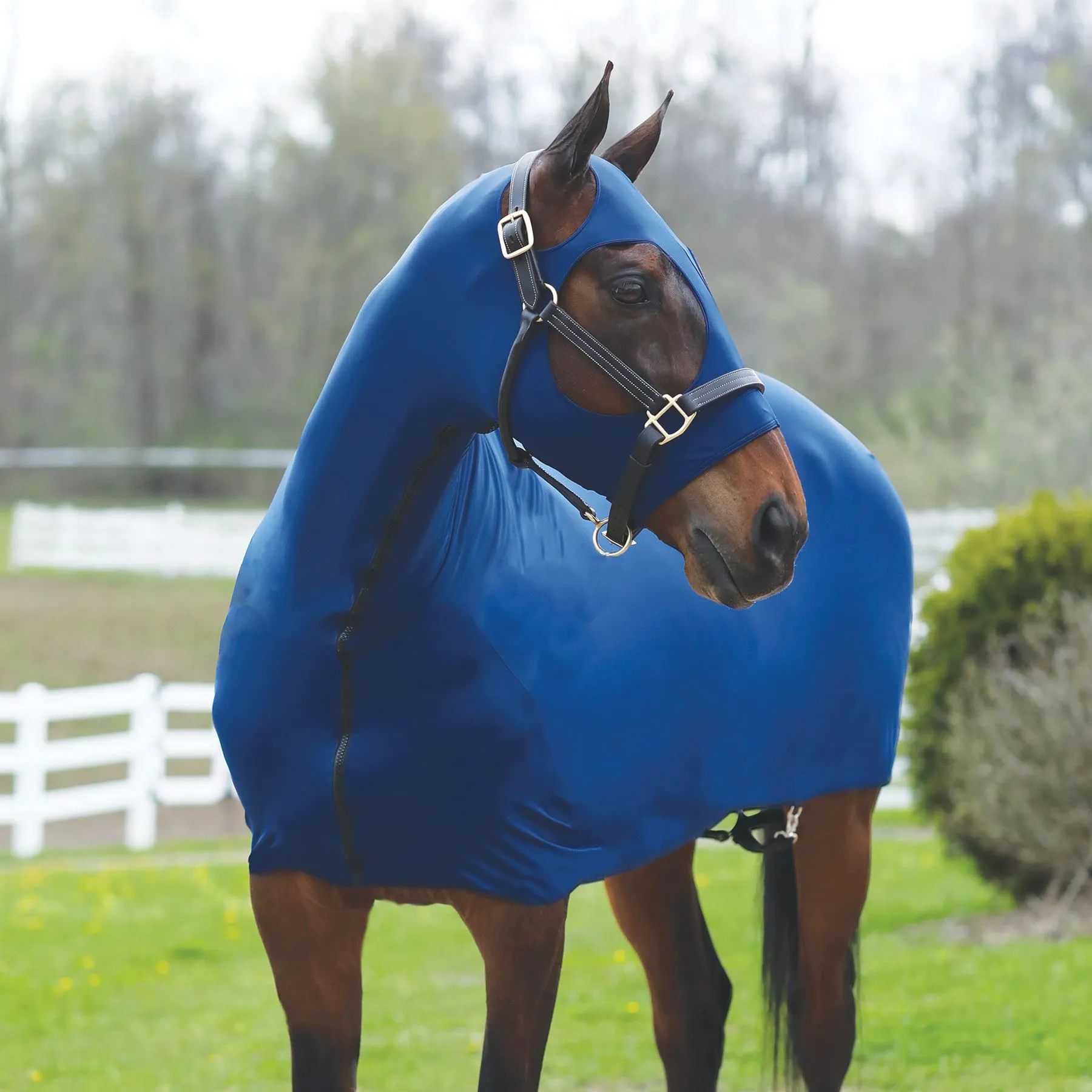 Sleazy Sleepwear™ Solid Full Body Slicker With Zipper 4 Sleazy Sleepwear™ Solid Full Body Slicker With Zipper - Image 2