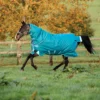 Horseware® Amigo® Bravo 12 Plus Heavyweight Turnout Blanket -Schneiders Shop 40323