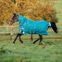 Horseware® Amigo® Bravo 12 Plus Heavyweight Turnout Blanket -Schneiders Shop 40323 stormturquoise