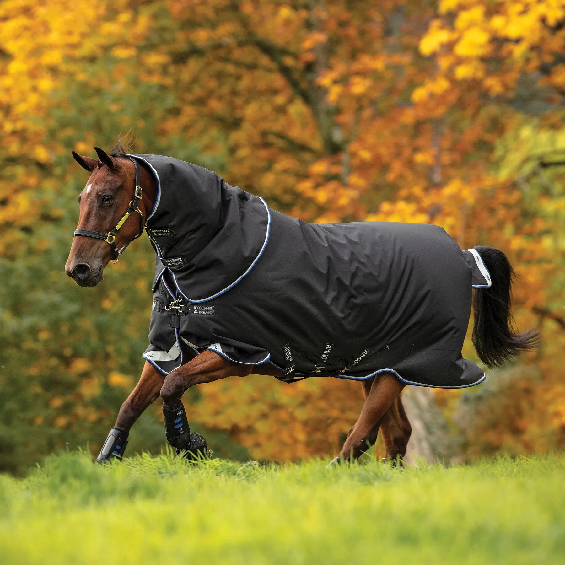Horseware® Amigo® Bravo 12 Plus Medium Weight Turnout Blanket 4 Horseware® Amigo® Bravo 12 Plus Medium Weight Turnout Blanket - Image 2