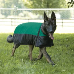 Dura-Tech® Insulated Waterproof Reflective Dog Coat -Schneiders Shop 41224c green
