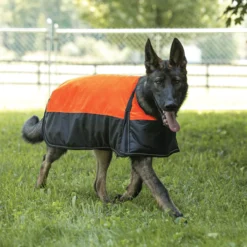Dura-Tech® Insulated Waterproof Reflective Dog Coat -Schneiders Shop 41224c orange