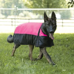 Dura-Tech® Insulated Waterproof Reflective Dog Coat -Schneiders Shop 41224c pink