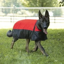Dura-Tech® Insulated Waterproof Reflective Dog Coat -Schneiders Shop 41224c red