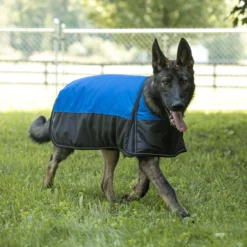 Dura-Tech® Insulated Waterproof Reflective Dog Coat -Schneiders Shop 41224c royal
