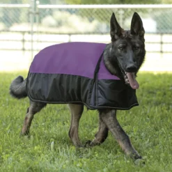 Dura-Tech® Waterproof Reflective Dog Coat -Schneiders Shop 41236c purple