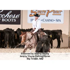 Easy-Up® Pro Double Hanger Tack Rack -Schneiders Shop 41296 prof a overlay