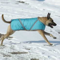 Dura-Tech® Limited Edition 1680 Waterproof Insulated Dog Coat -Schneiders Shop 41324c alt b