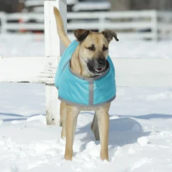 Dura-Tech® Limited Edition 1680 Waterproof Insulated Dog Coat -Schneiders Shop 41324c alt c