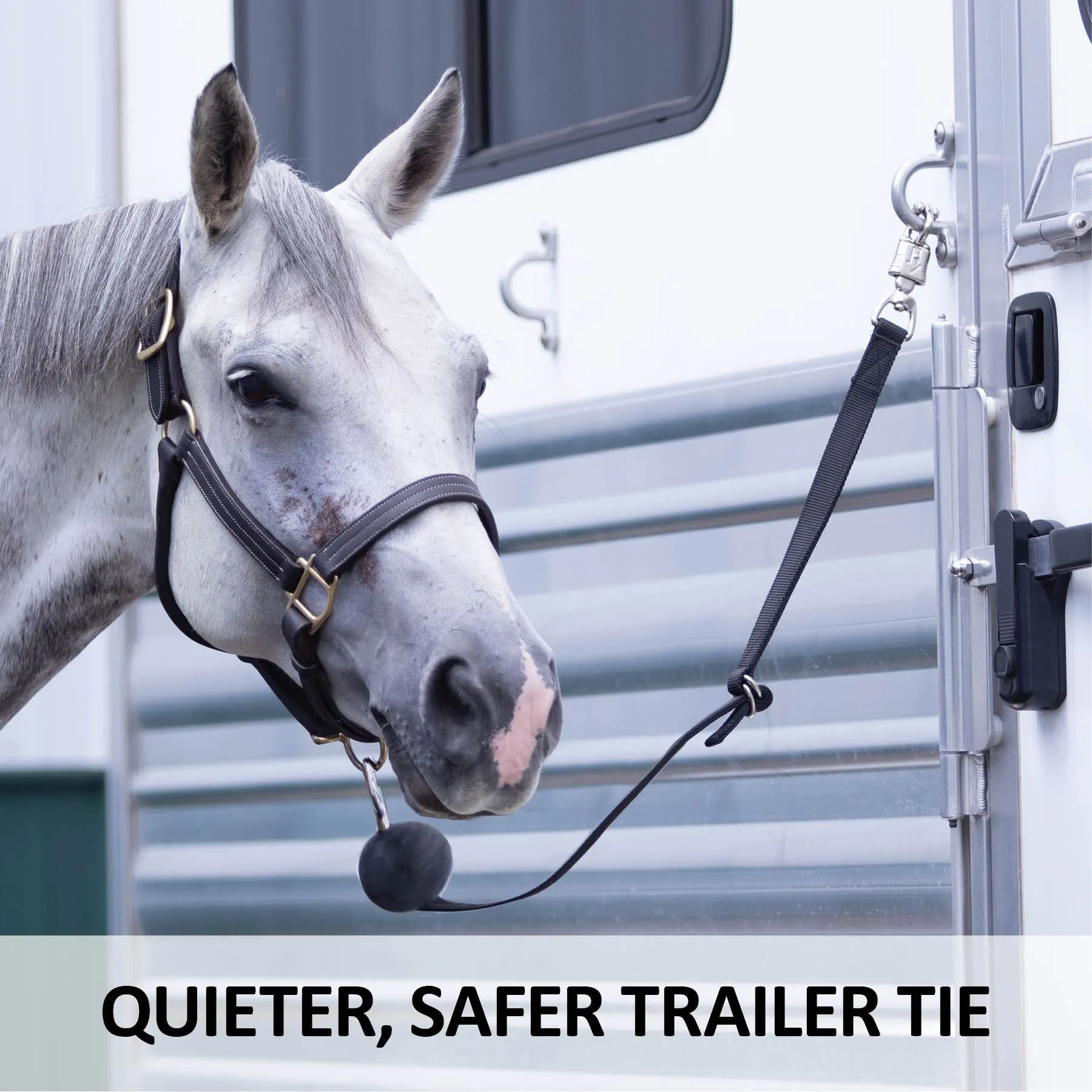Dura-Tech Quietguard Adjustable Nylon Trailer Tie 4 Dura-Tech Quietguard Adjustable Nylon Trailer Tie - Image 2