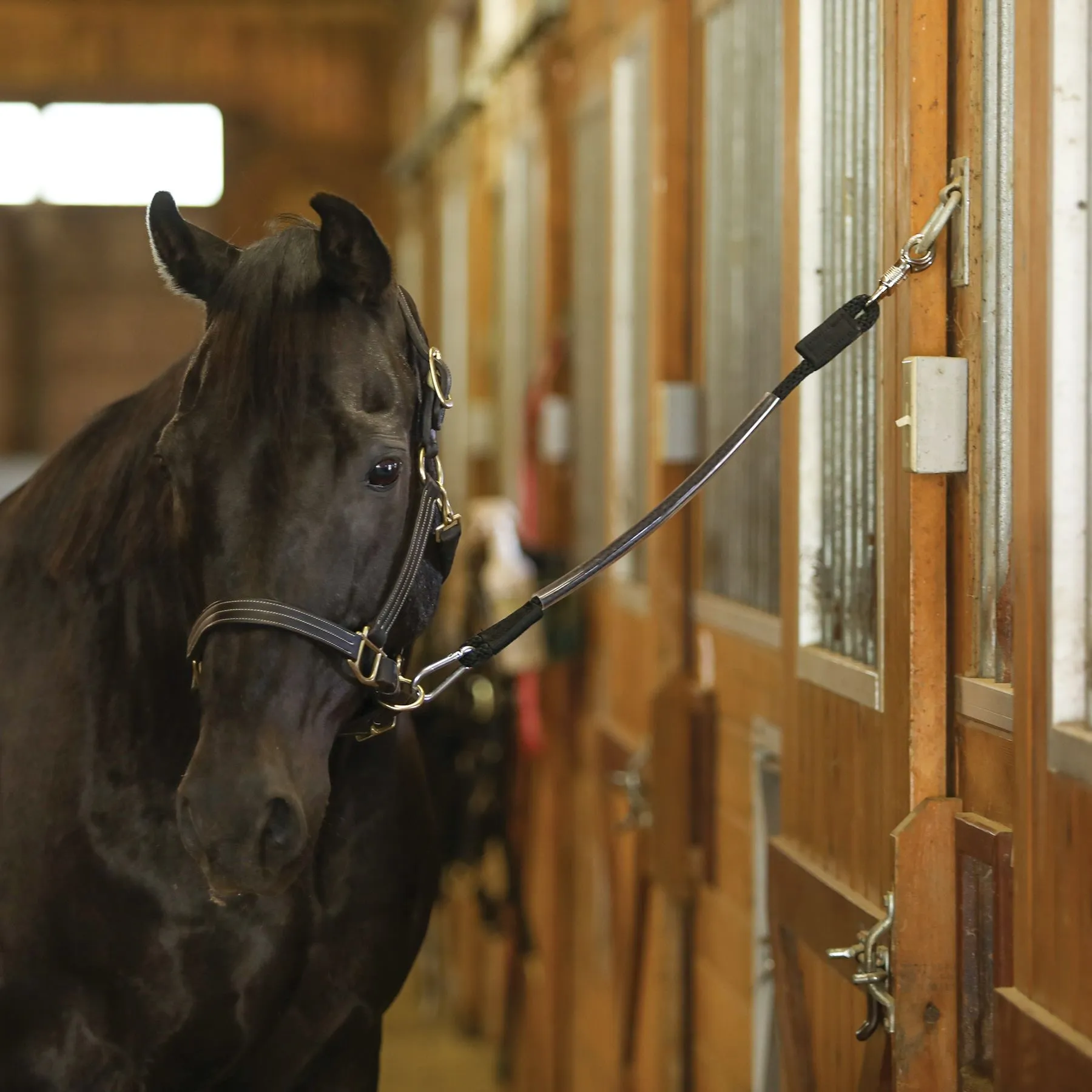 Dura-Tech® No Chew 5/8" Flex Tube Rope Trailer Tie 4 Dura-Tech® No Chew 5/8" Flex Tube Rope Trailer Tie - Image 2