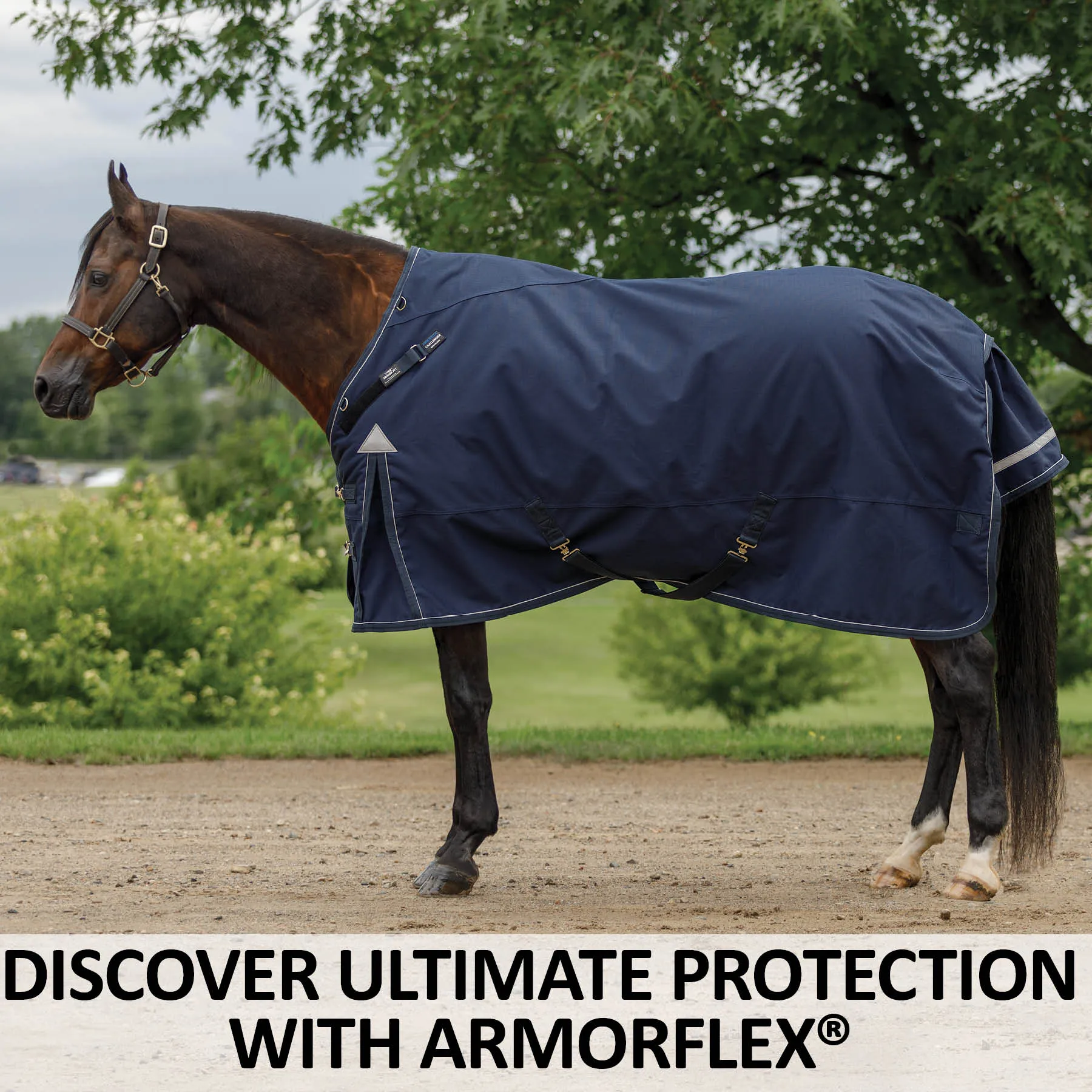 ARMORFlex® Challenger II Senior VTEK® Wither Relief Adjusta-Fit® Surcingle Turnouts 4 ARMORFlex® Challenger II Senior VTEK® Wither Relief Adjusta-Fit® Surcingle Turnouts - Image 2