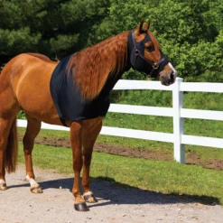 UltraFlex Forelock And Mane Saver Full Zipper Horse Slicker Hood -Schneiders Shop 42963 alt a