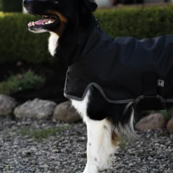 Dura-Tech® Insulated Waterproof High Neck Dog Coats -Schneiders Shop 43149c alt a