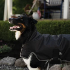 Dura-Tech® Insulated Waterproof High Neck Dog Coats -Schneiders Shop 43149c alt b