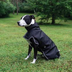 Dura-Tech® Insulated Waterproof High Neck Dog Coats -Schneiders Shop 43149c alt e