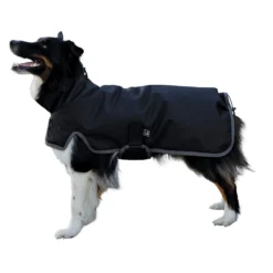 Dura-Tech® Insulated Waterproof High Neck Dog Coats -Schneiders Shop 43149c black