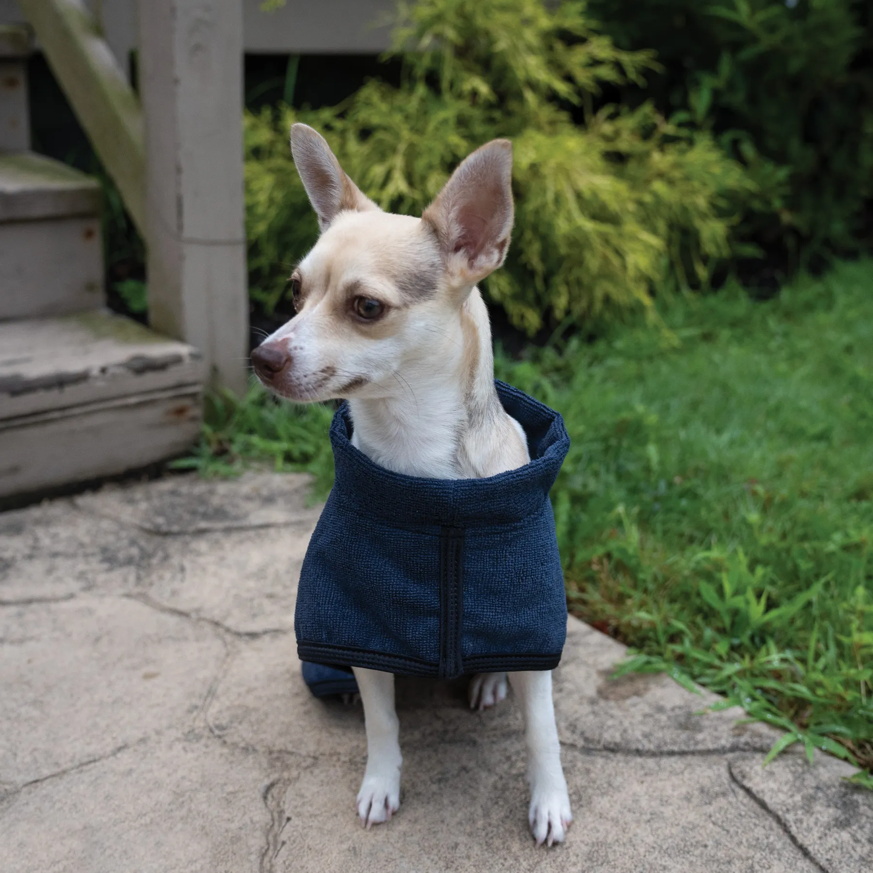 Dura-Tech Dog Drying Cooler 4 Dura-Tech Dog Drying Cooler - Image 2