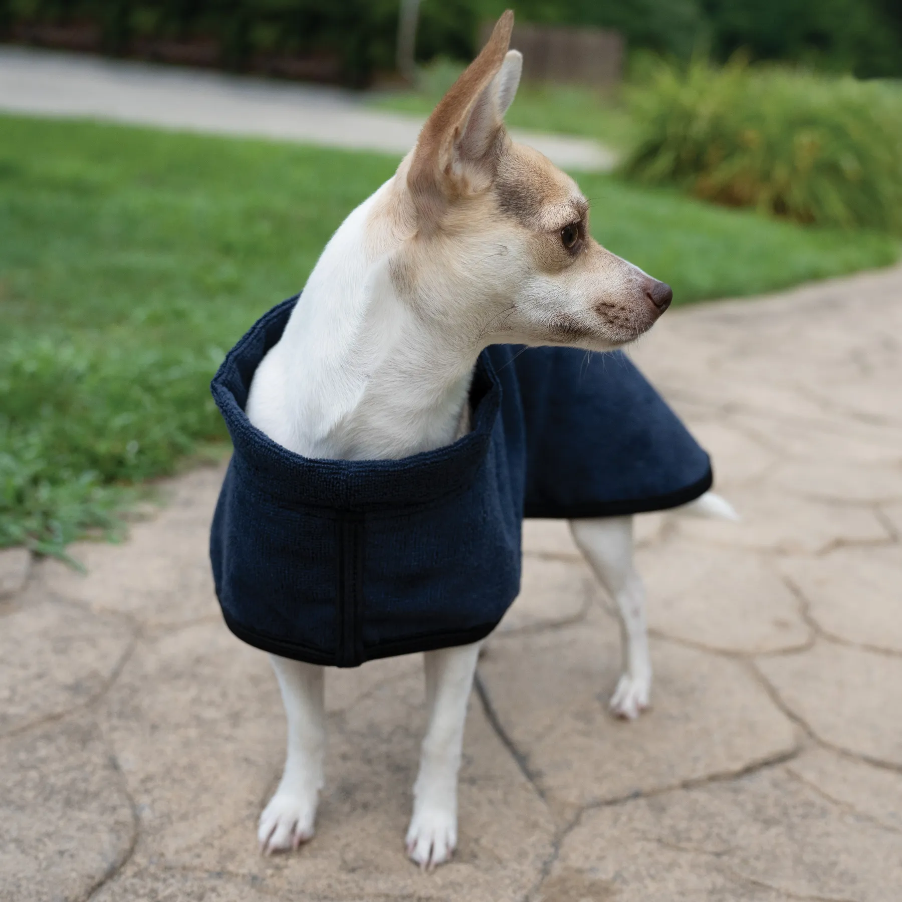 Dura-Tech Dog Drying Cooler 5 Dura-Tech Dog Drying Cooler - Image 3