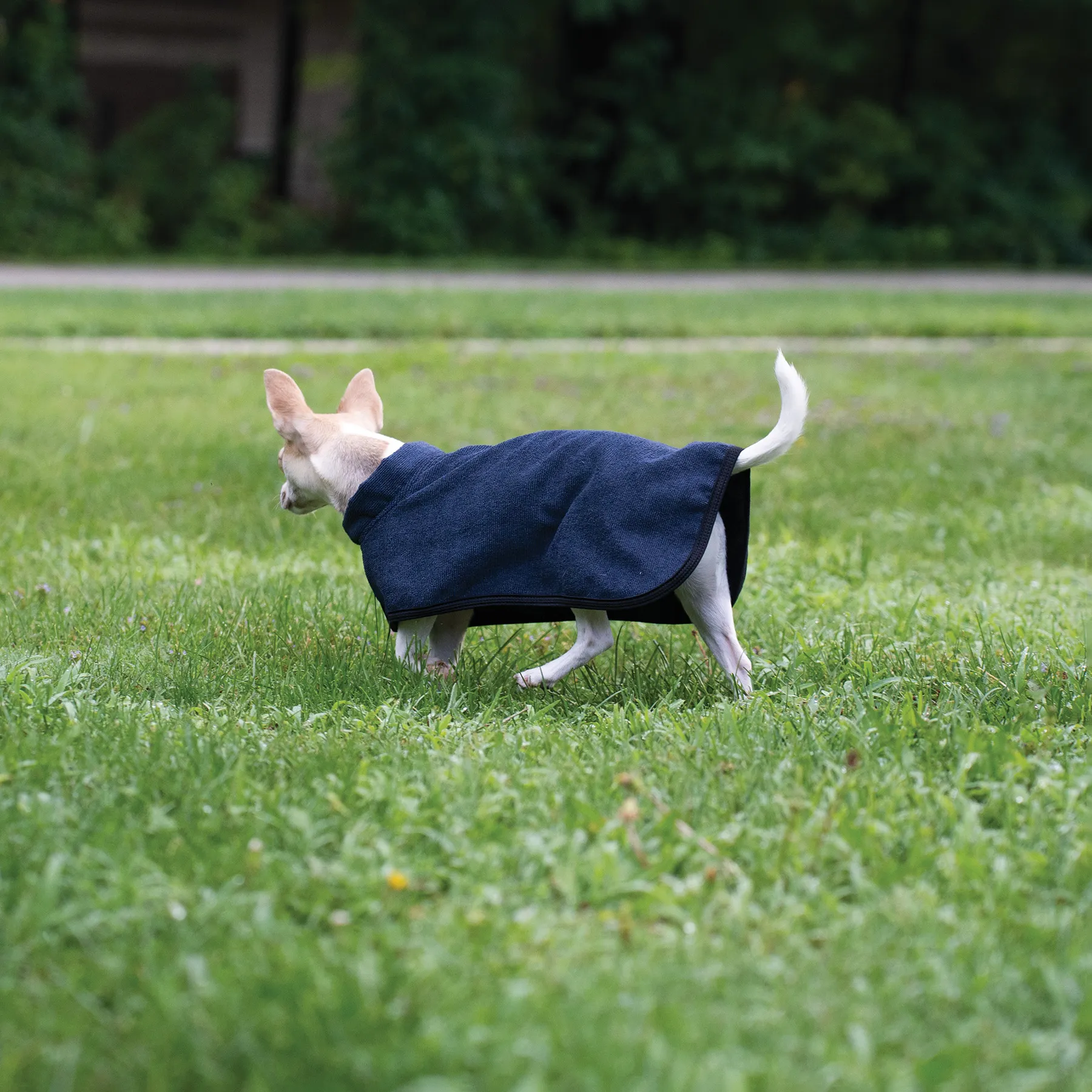 Dura-Tech Dog Drying Cooler 6 Dura-Tech Dog Drying Cooler - Image 4