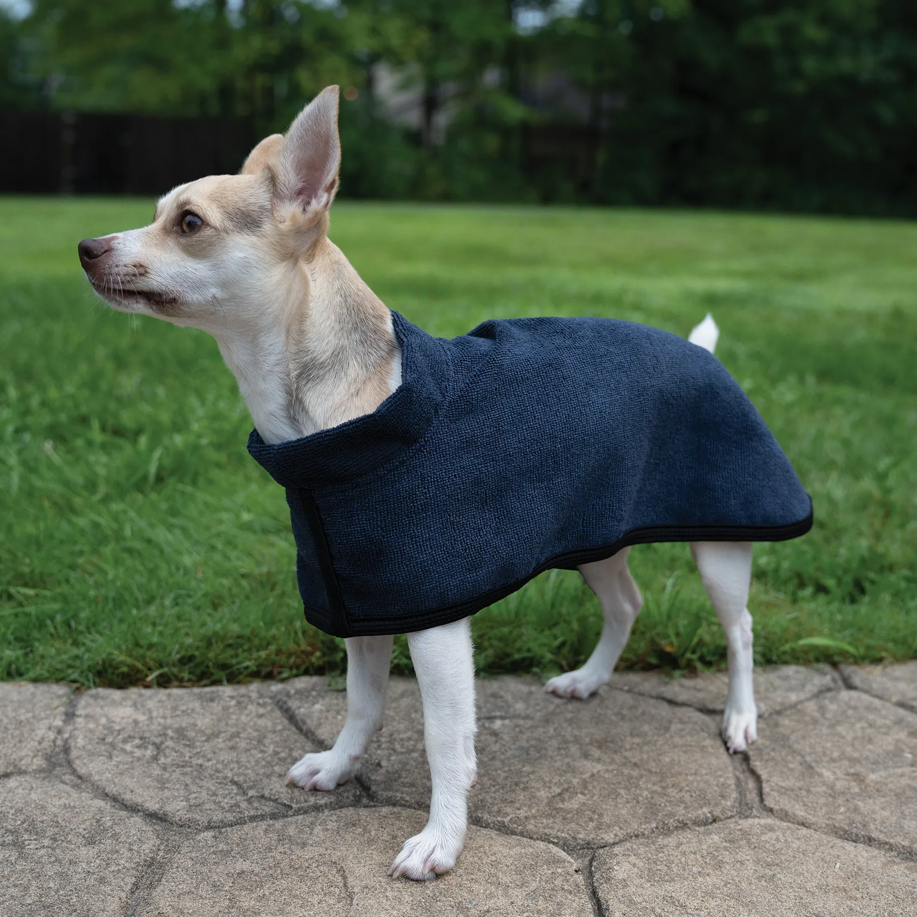 Dura-Tech Dog Drying Cooler 10 Dura-Tech Dog Drying Cooler - Image 8